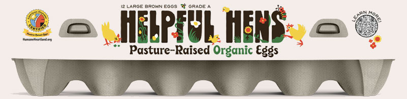 Pasture Raised Organic Eggs
